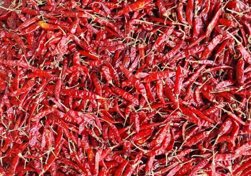 Red Chilli