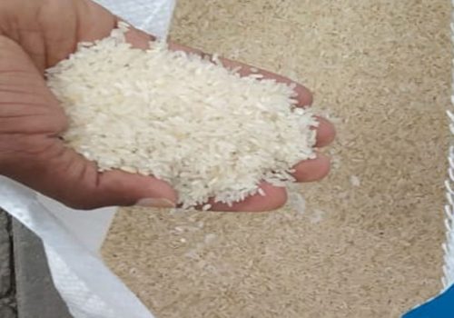 Raw Rice